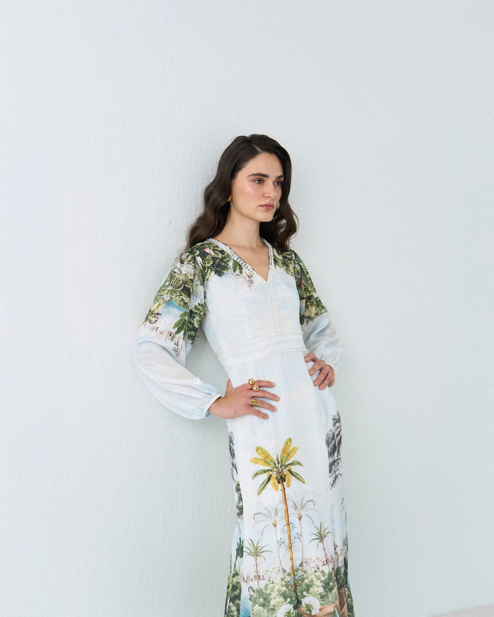 Safari deer lace maxi dress Label By Mohita