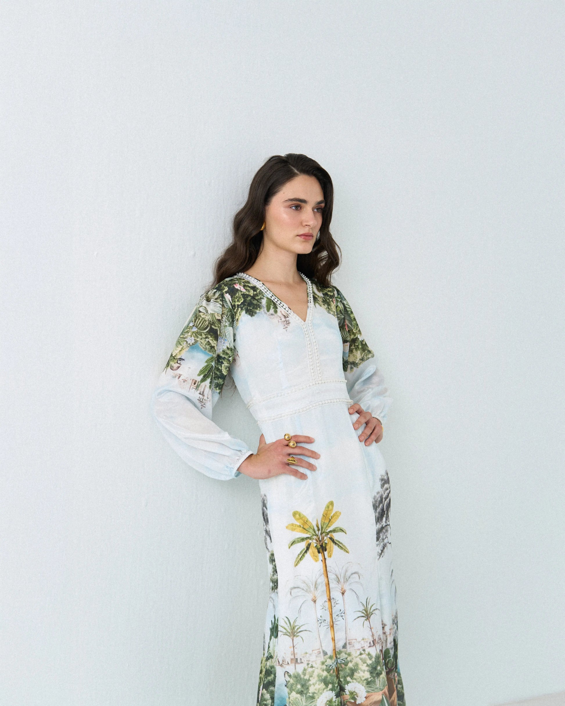 Safari deer lace maxi dress Label By Mohita